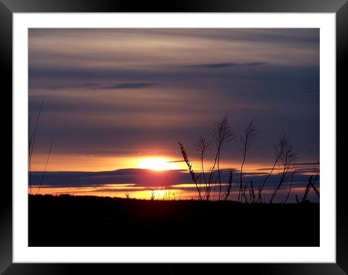  Grassy Sunset Framed Mounted Print by dan Comeau