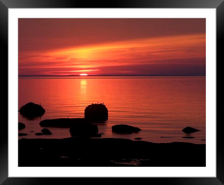  Peaceful Reflections Framed Mounted Print by dan Comeau