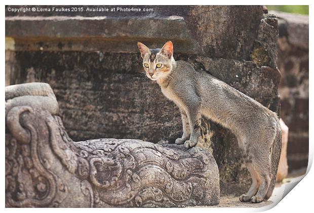 Stray Cat at Temple Ruins  Print by Lorna Faulkes