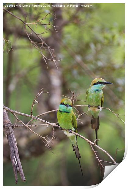 A Pair of Bee - Eaters Print by Lorna Faulkes