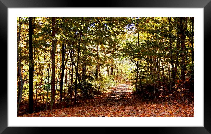 Oil Painting of Our Driveway  Framed Mounted Print by james balzano, jr.