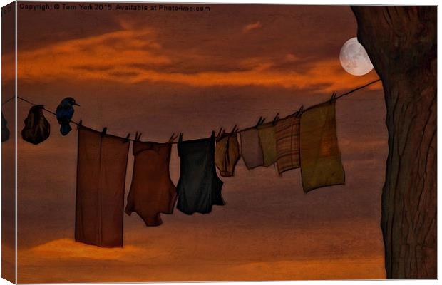 Hanging In The Moonlight Canvas Print by Tom York