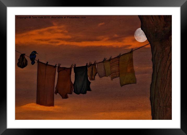Hanging In The Moonlight Framed Mounted Print by Tom York