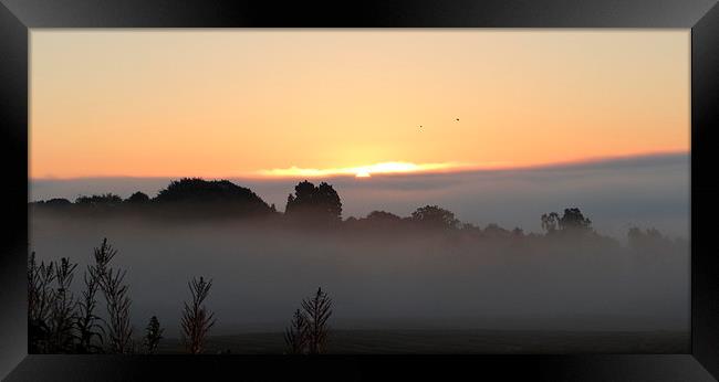 Misty Morning Aberdeen  Framed Print by ian jackson