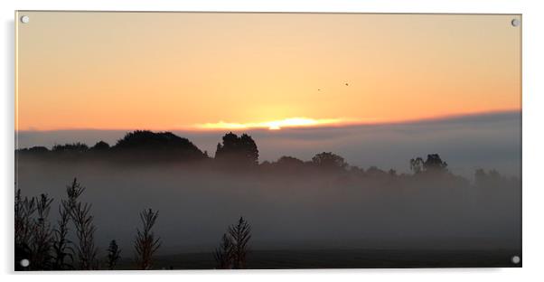 Misty Morning Aberdeen  Acrylic by ian jackson