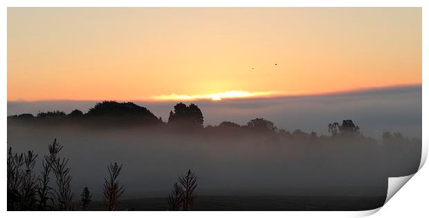 Misty Morning Aberdeen  Print by ian jackson