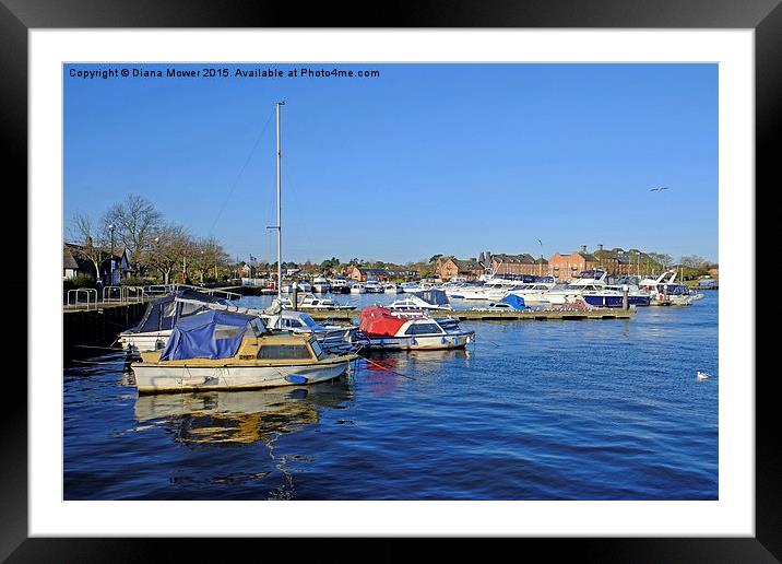 Oulton Broad  Framed Mounted Print by Diana Mower