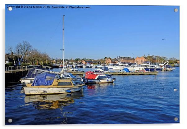 Oulton Broad  Acrylic by Diana Mower