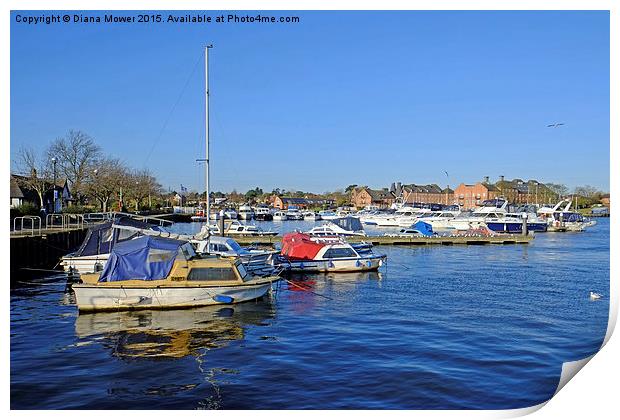 Oulton Broad  Print by Diana Mower