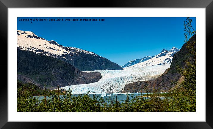 Chilly Splendour: Mendenhall Glacier Framed Mounted Print by Gilbert Hurree