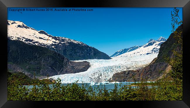 Chilly Splendour: Mendenhall Glacier Framed Print by Gilbert Hurree