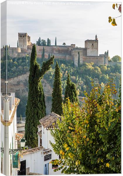  Looking at the Alhambra Palace from the Albaicin  Canvas Print by Philip Pound
