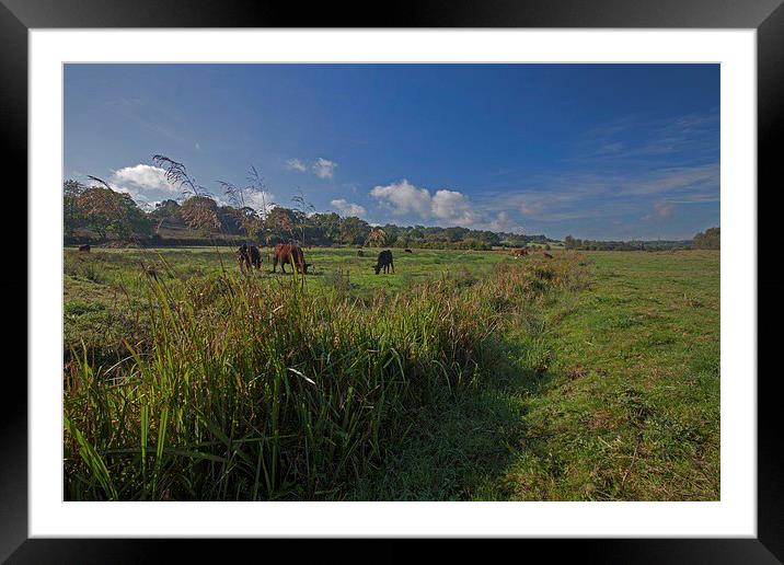  This green and pleasant land. Framed Mounted Print by Stephen Prosser