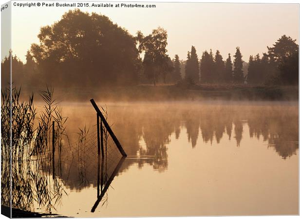 Frensham Little Pond at Sunrise Canvas Print by Pearl Bucknall
