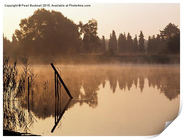 Frensham Little Pond at Sunrise Print by Pearl Bucknall