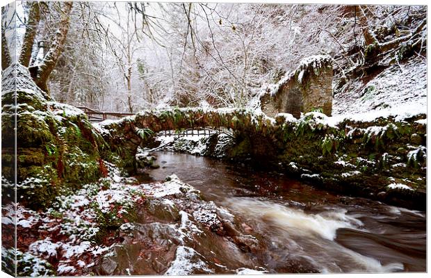  Winter at Reelig Canvas Print by Macrae Images
