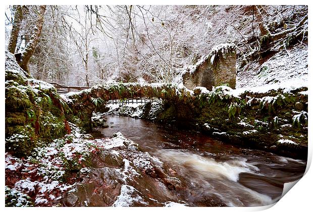 Winter at Reelig Print by Macrae Images