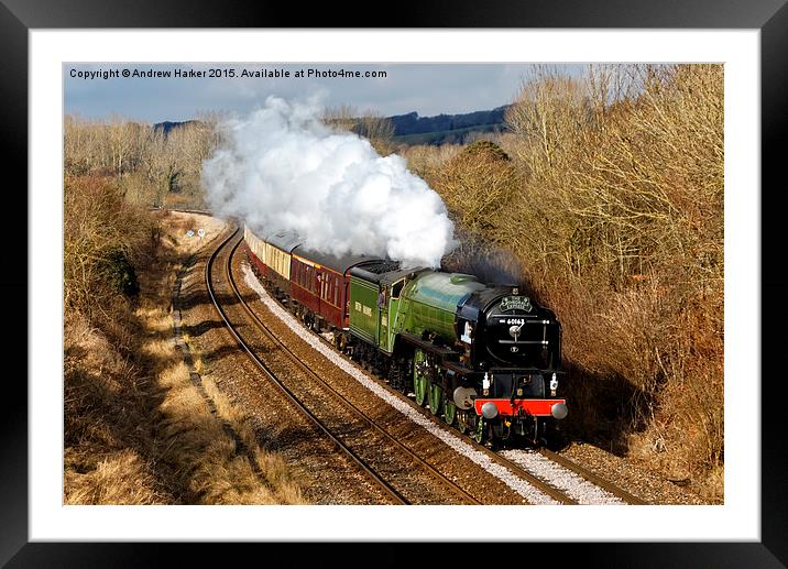 Peppercorn class steam locomotive Tornado Framed Mounted Print by Andrew Harker