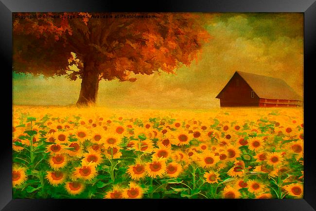  the sunflower field  Framed Print by Heaven's Gift xxx68