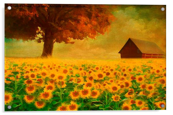  the sunflower field  Acrylic by Heaven's Gift xxx68