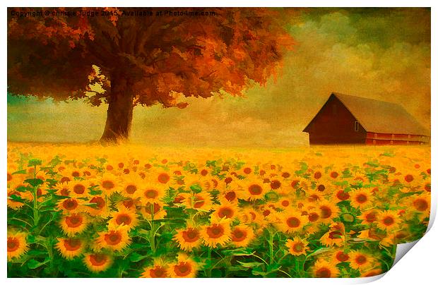  the sunflower field  Print by Heaven's Gift xxx68