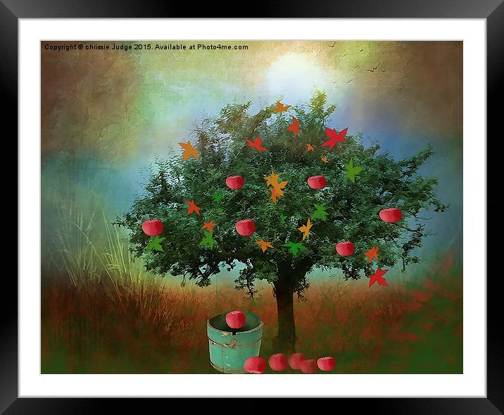  the little apple tree  Framed Mounted Print by Heaven's Gift xxx68