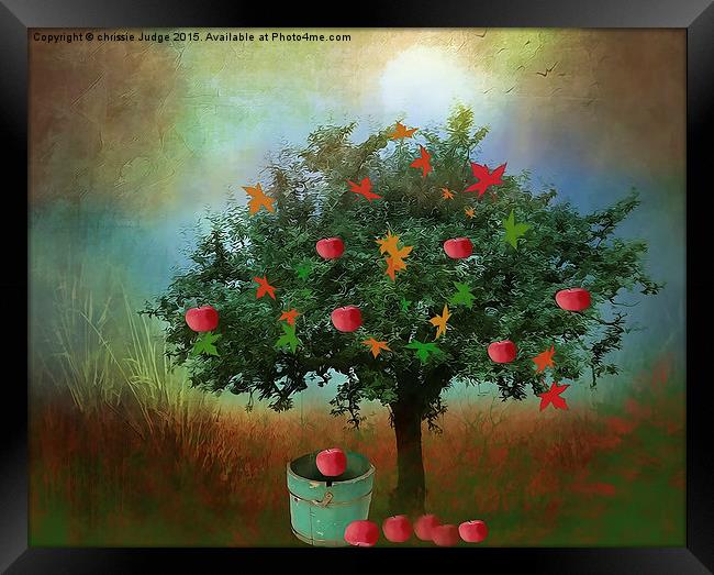  the little apple tree  Framed Print by Heaven's Gift xxx68