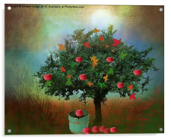  the little apple tree  Acrylic by Heaven's Gift xxx68