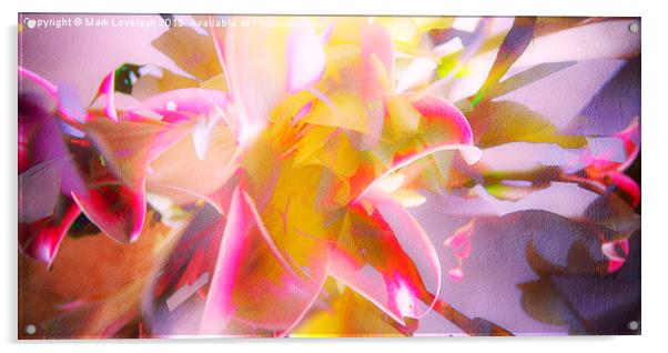  Flower Abstract Acrylic by Mark Lovelock