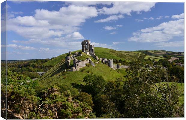  Corfe castle on a summer afternoon Canvas Print by Shaun Jacobs