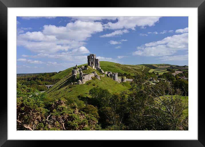  Corfe castle on a summer afternoon Framed Mounted Print by Shaun Jacobs