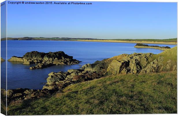  SUNNY DAY ON ANGLESEY Canvas Print by andrew saxton