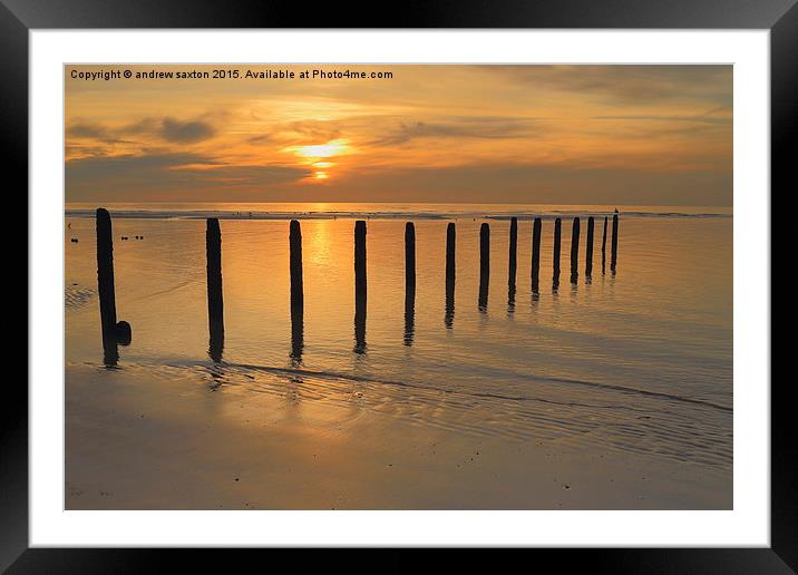  SUNSET FINGERS Framed Mounted Print by andrew saxton