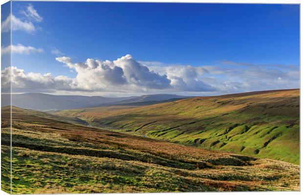Yorkshire dales             Canvas Print by chris smith