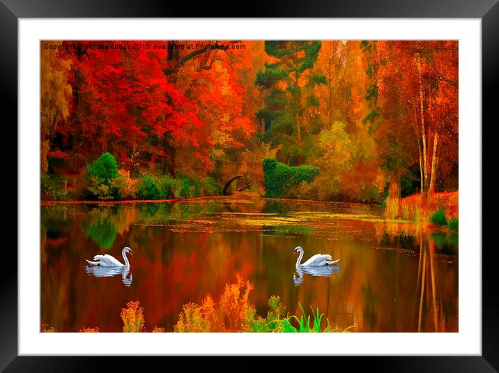  swan lake  Framed Mounted Print by Heaven's Gift xxx68