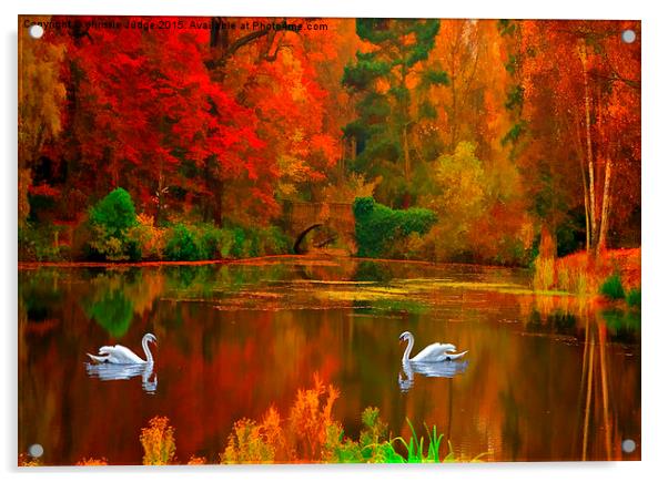  swan lake  Acrylic by Heaven's Gift xxx68