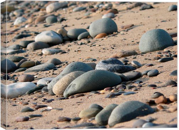  Rocks on A Beach Canvas Print by Jackson Photography