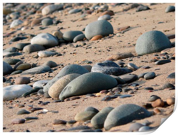  Rocks on A Beach Print by Jackson Photography