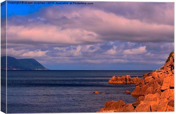  Cliffs at White Point Canvas Print by shawn mcphee I