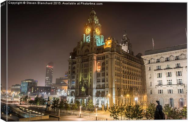  liver building Liverpool waterfront  Canvas Print by Steven Blanchard