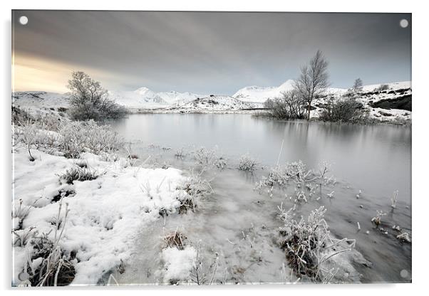  Winter Pond Acrylic by Grant Glendinning
