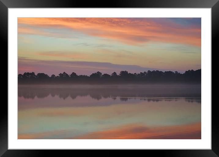  Sunrise Paddle Framed Mounted Print by Beach Bum Pics