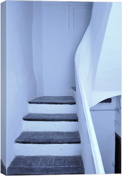blue stair Canvas Print by Josep M Peñalver