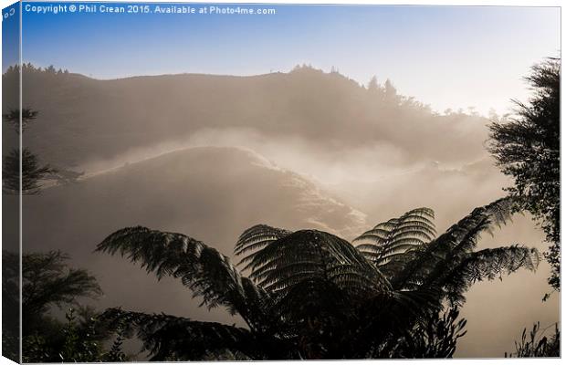 Misty morning fern tree, New Zealand Canvas Print by Phil Crean