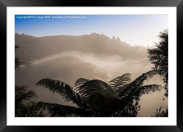  Misty morning fern tree, New Zealand Framed Mounted Print by Phil Crean