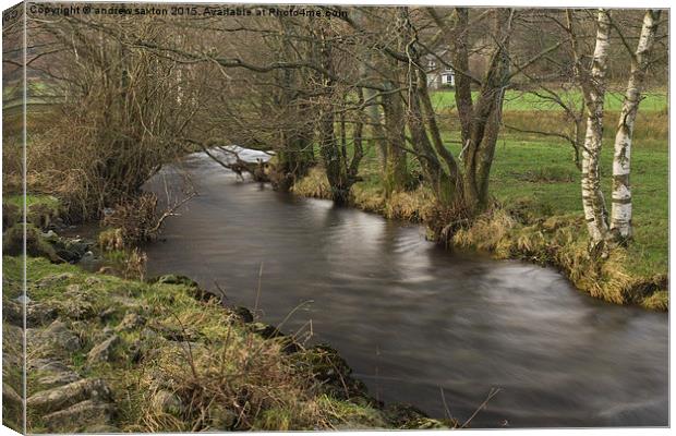  A SMALL STREAM Canvas Print by andrew saxton