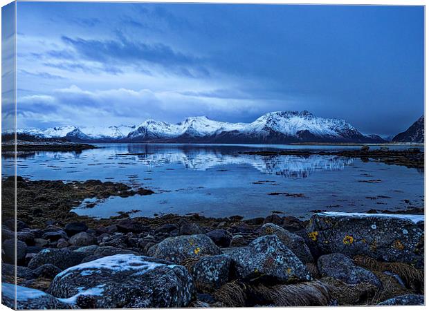 Arctic Reflections, Lofoten, Norway Canvas Print by Mark Llewellyn