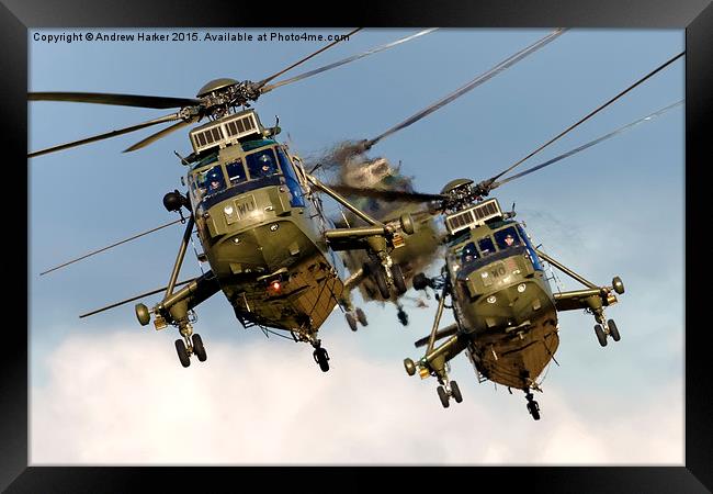 Westland Sea King HC.4 Helicopters  Framed Print by Andrew Harker