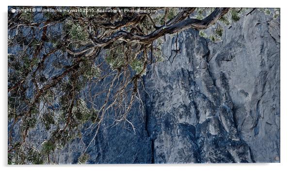  Dying Tree at Smith Rock Acrylic by Wilhelmina Hayward