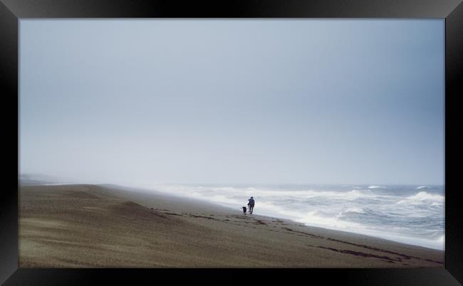Beach, Woman, Dog, waves Framed Print by Brent Olson